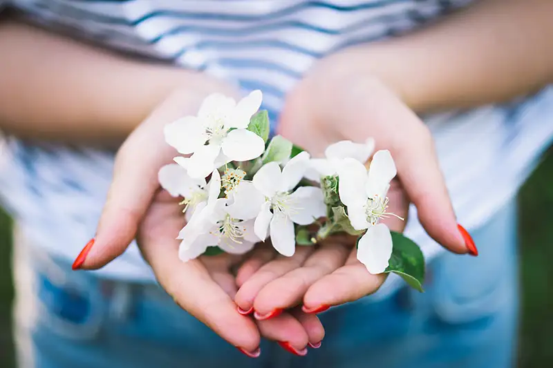 egg donor compensation