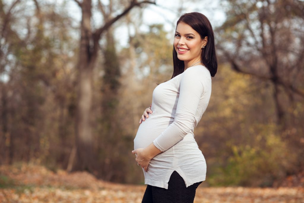 become a surrogate in michigan