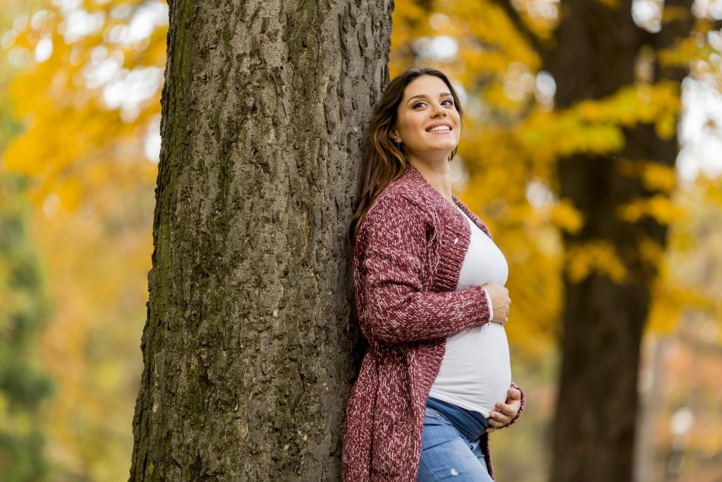 surrogacy agency in new hampshire