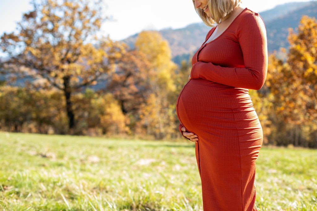 become a surrogate in north carolina
